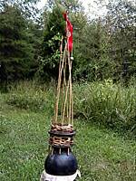 "Bitter Root Basket Vessel" Oliver Loveday � 2004